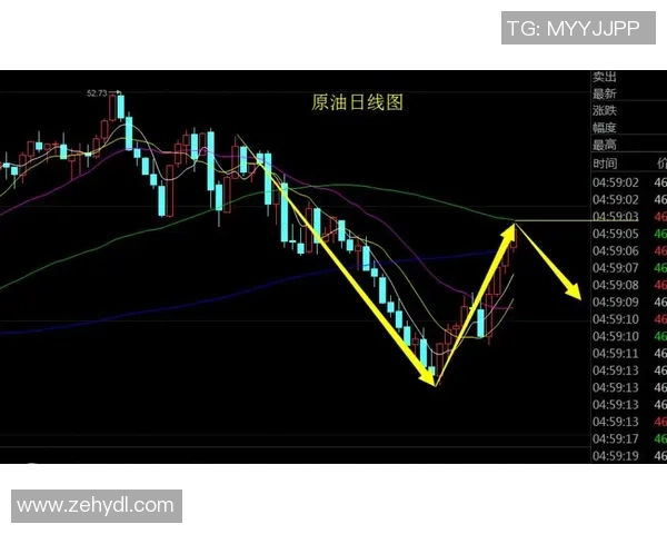 独家解析：WE灵活性与竞争对手的全面对比分析