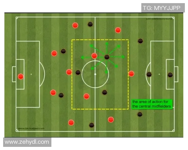 北京羽毛球队配合表现的数据分析与战术优化研究 北京羽毛球队配合表现的数据分析与战术优化研究
