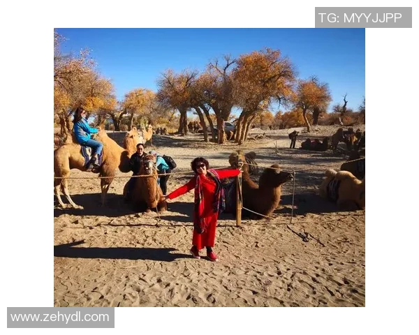 庄煜足球：从青涩少年到职业球员的成长之路与梦想追逐