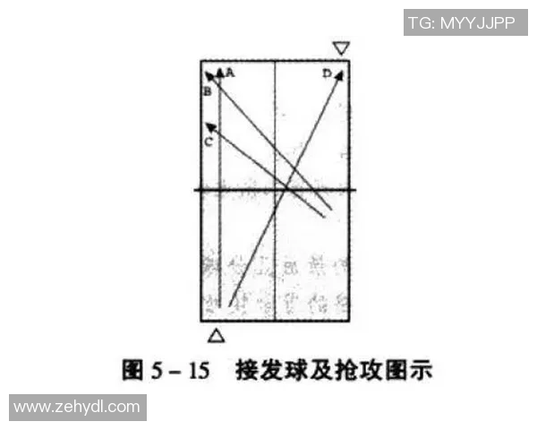 西安乒乓球队联赛表现分析团队配合与战术执行的关键因素探讨